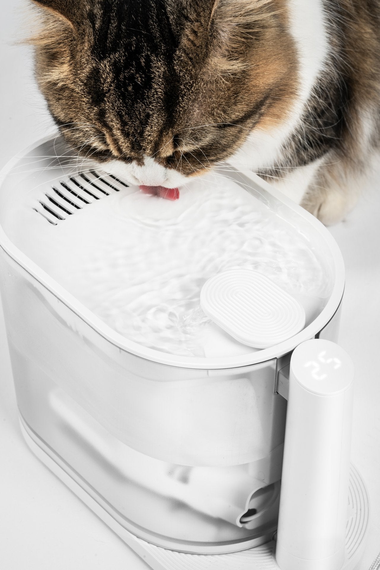 Pidan Water Fountain With Temperature Control | ARMOR THE POOCH